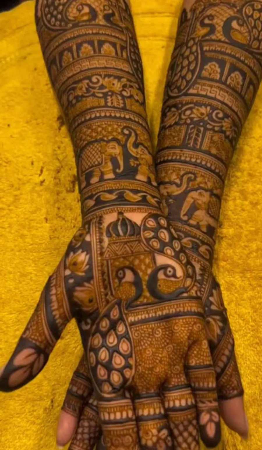 Full Hand Mehndi Design
