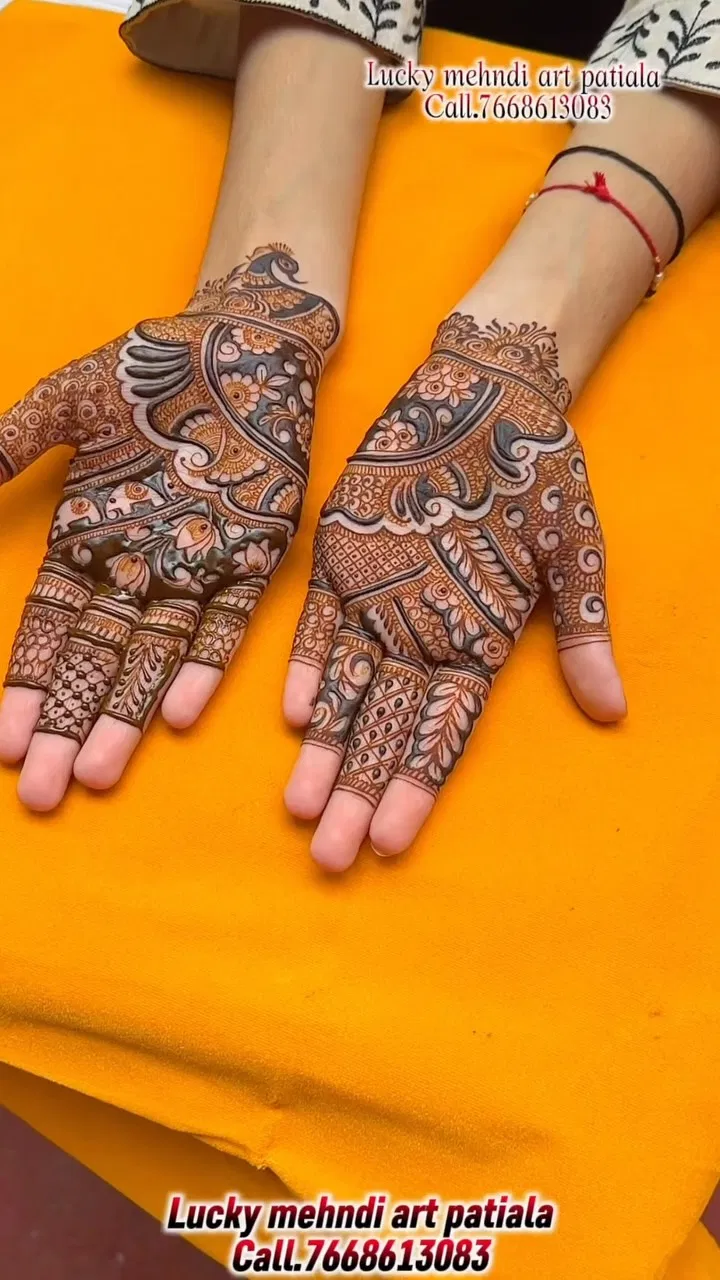 Aesthetic Mehndi Design