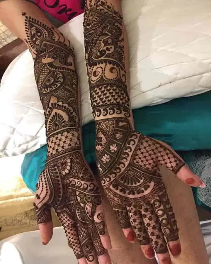 Full Hand Mehndi Design (2)
