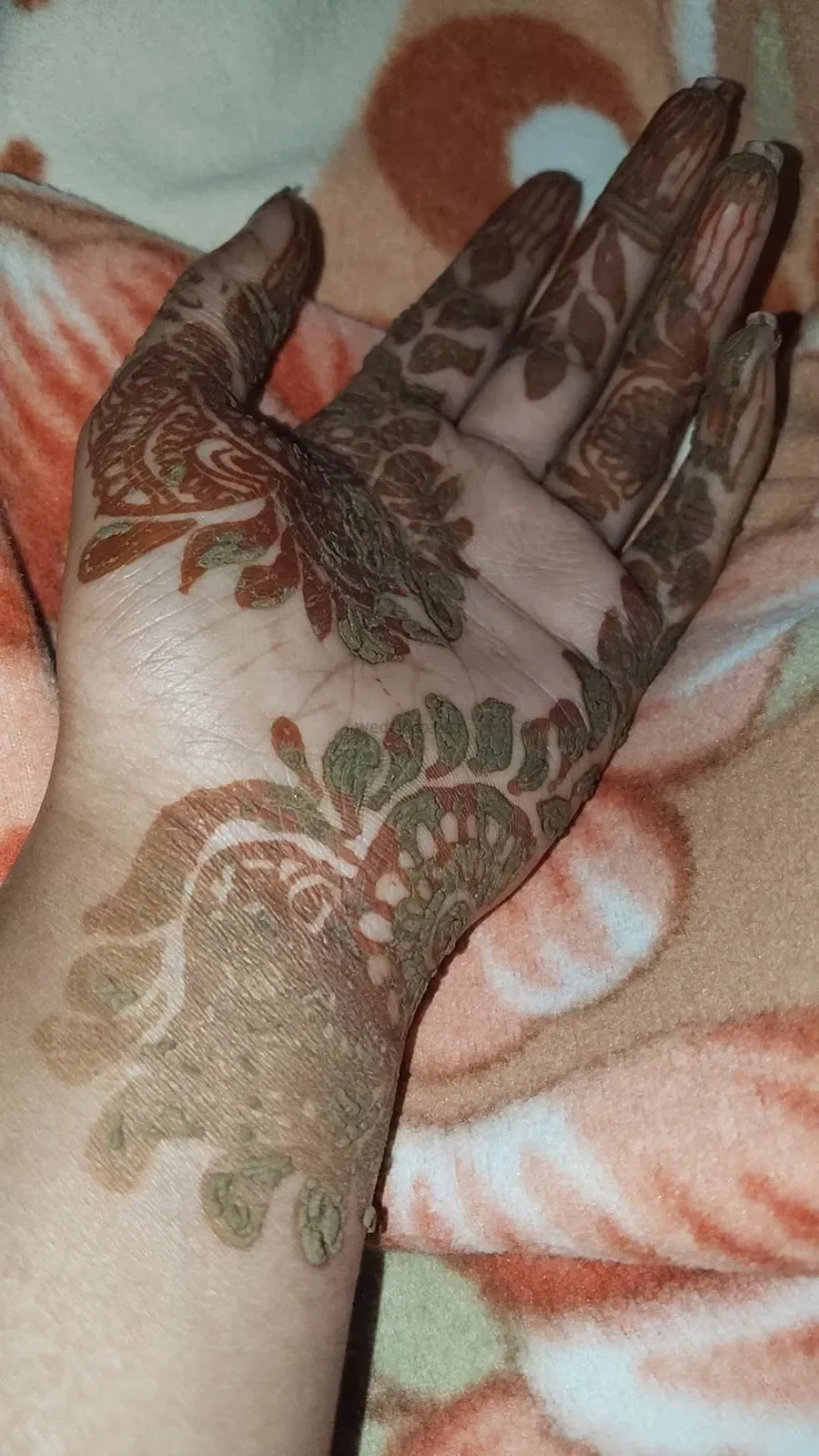Mehndi Design (2)