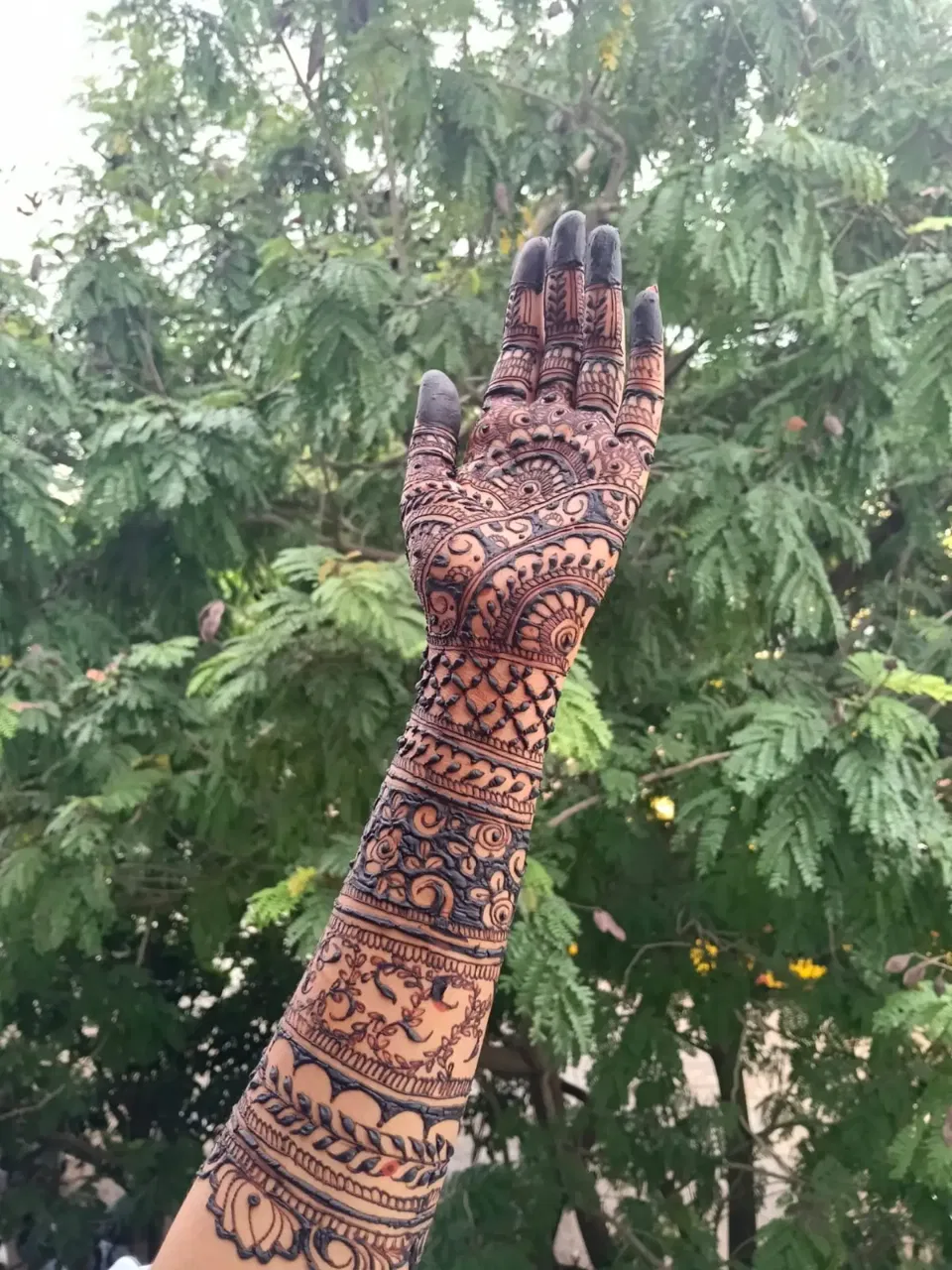 Indian Full Hand Mehndi Design (2)