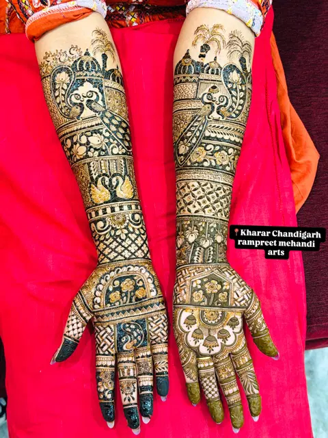 figure full hand mehndi design