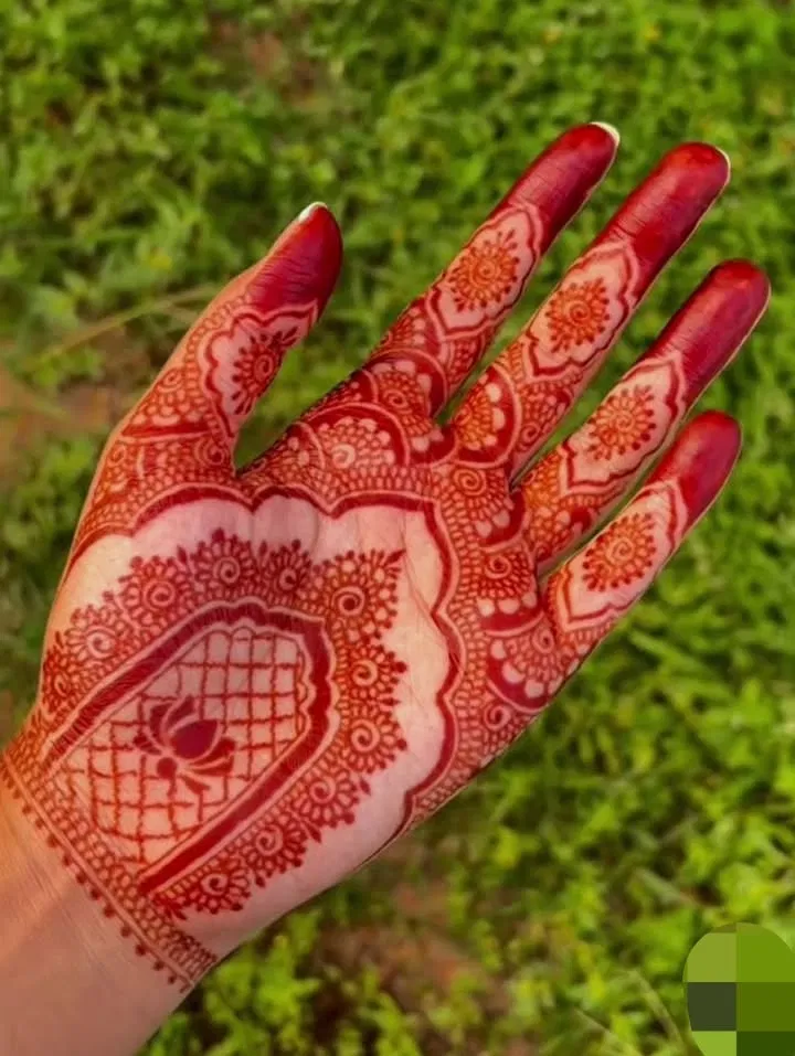 Aesthetic Arabic Finger Mehndi Design with Bel and Lotus