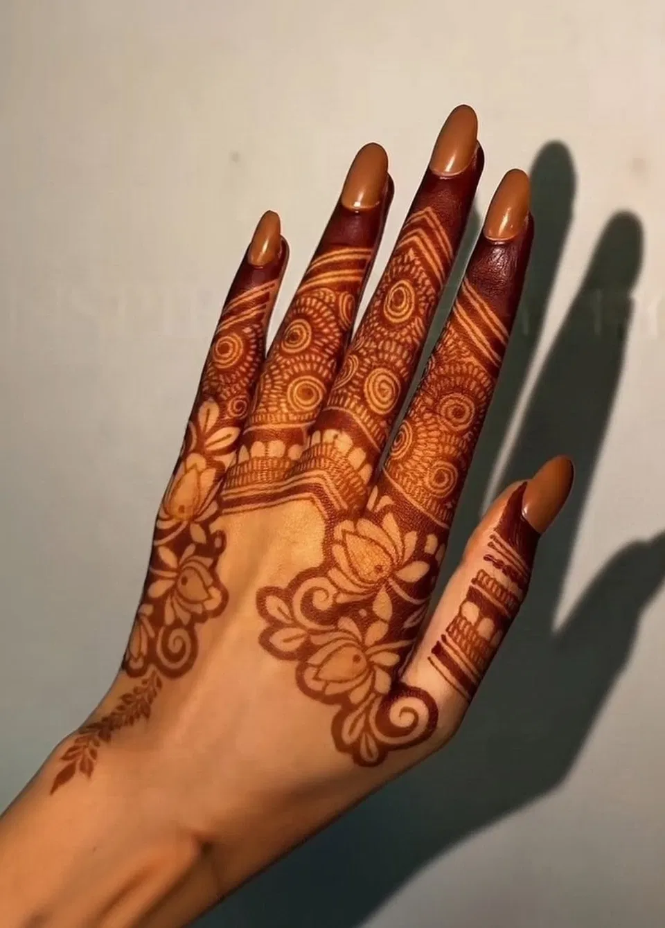 Aesthetic Arabic Back Hand Mehndi Design with Flowers and Lotus (3)