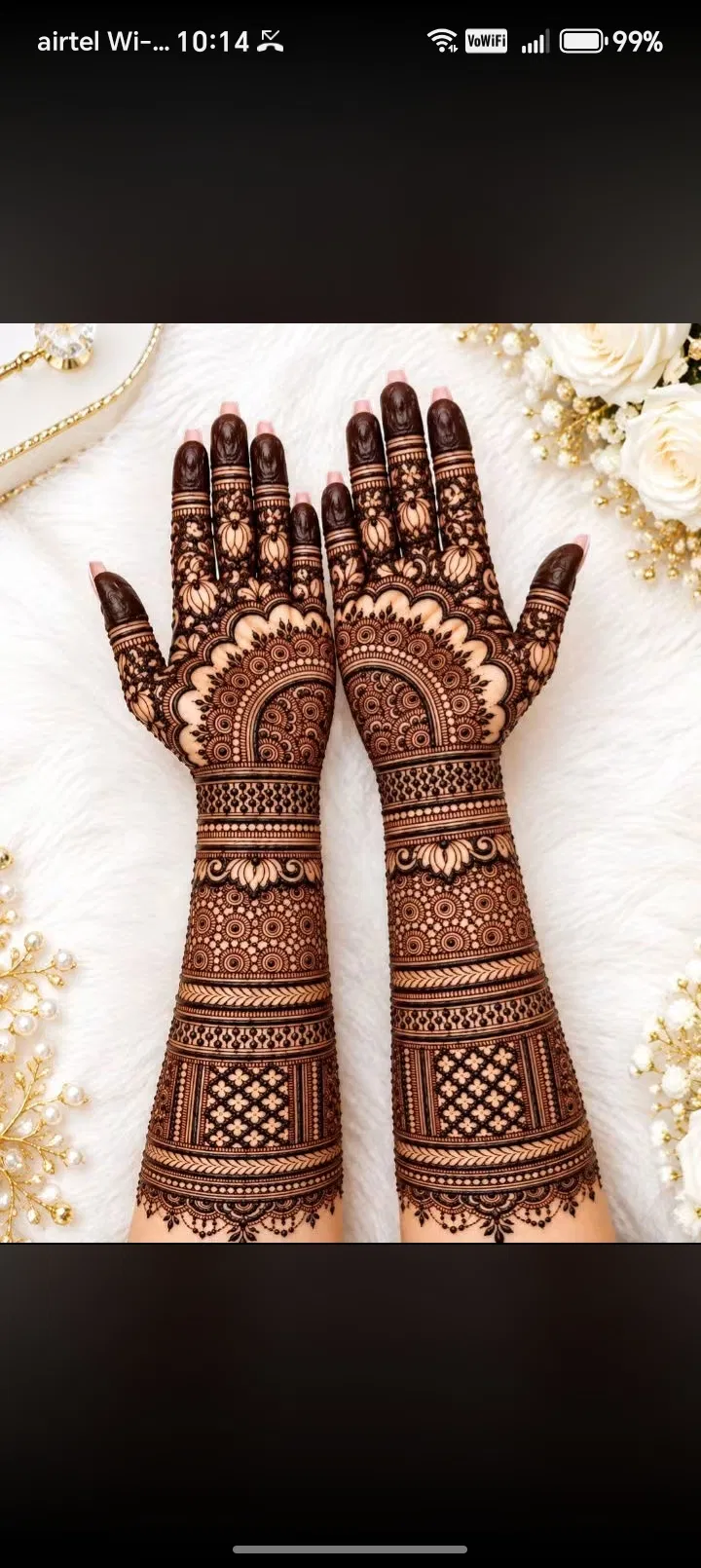 Bridal Full Hand Mehndi Design with Jaal