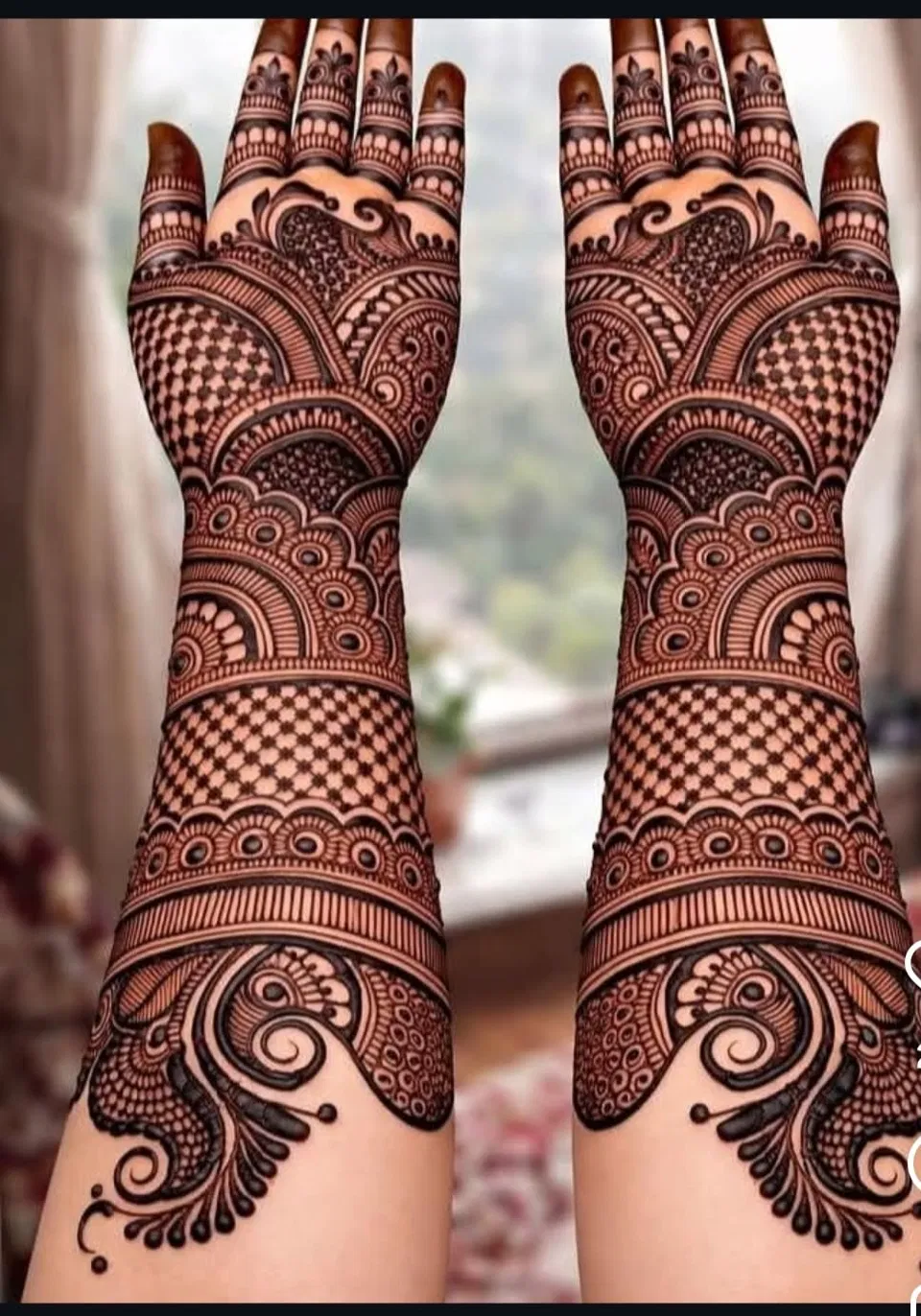 Arabic Bridal Back Hand Mehndi Design with Figures and Jaal for Teej