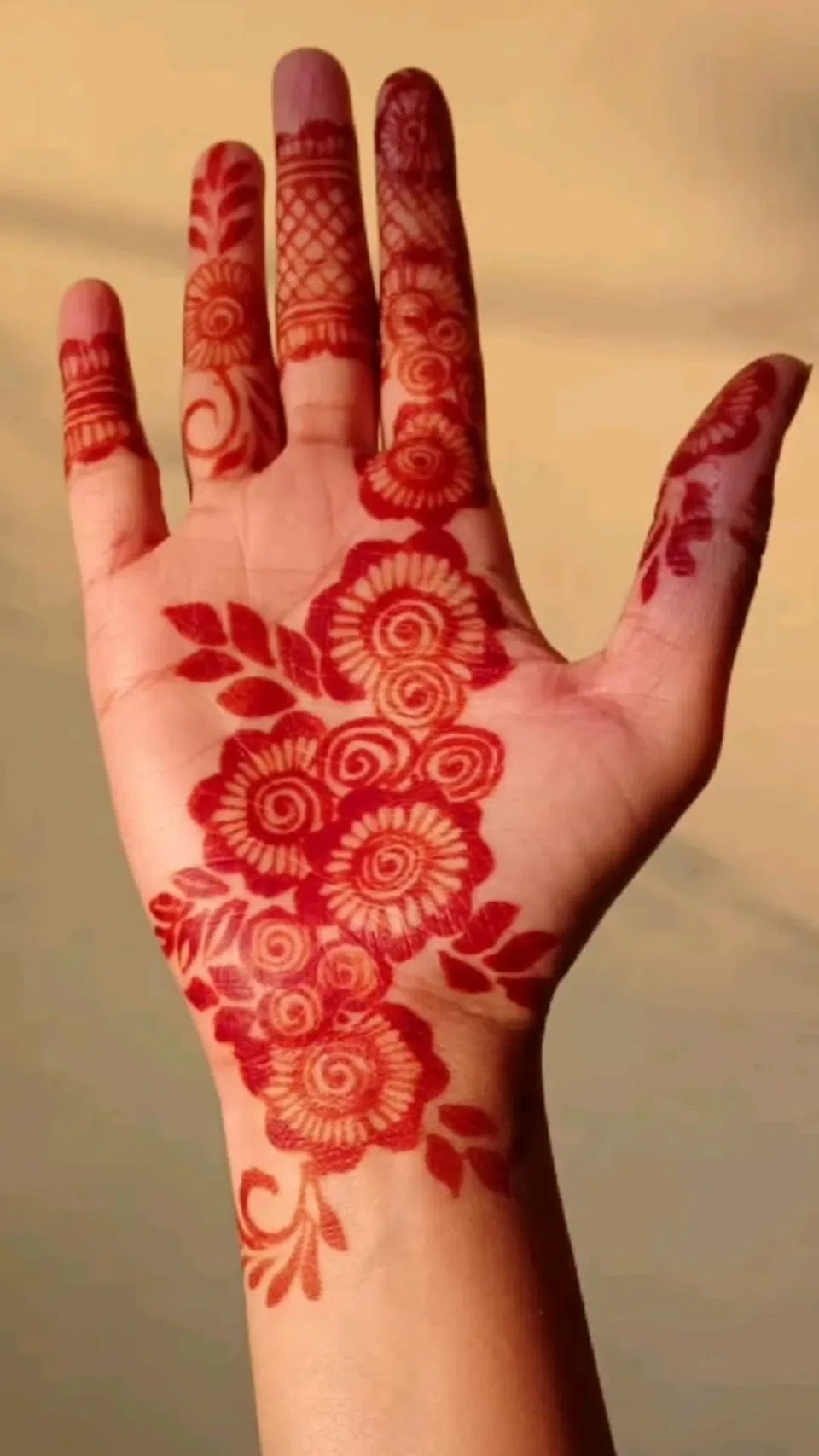 Aesthetic Arabic Front Hand Mehndi Design with Flowers (10)