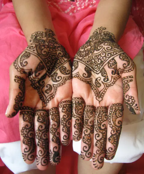 bridal indian back hand mehndi design