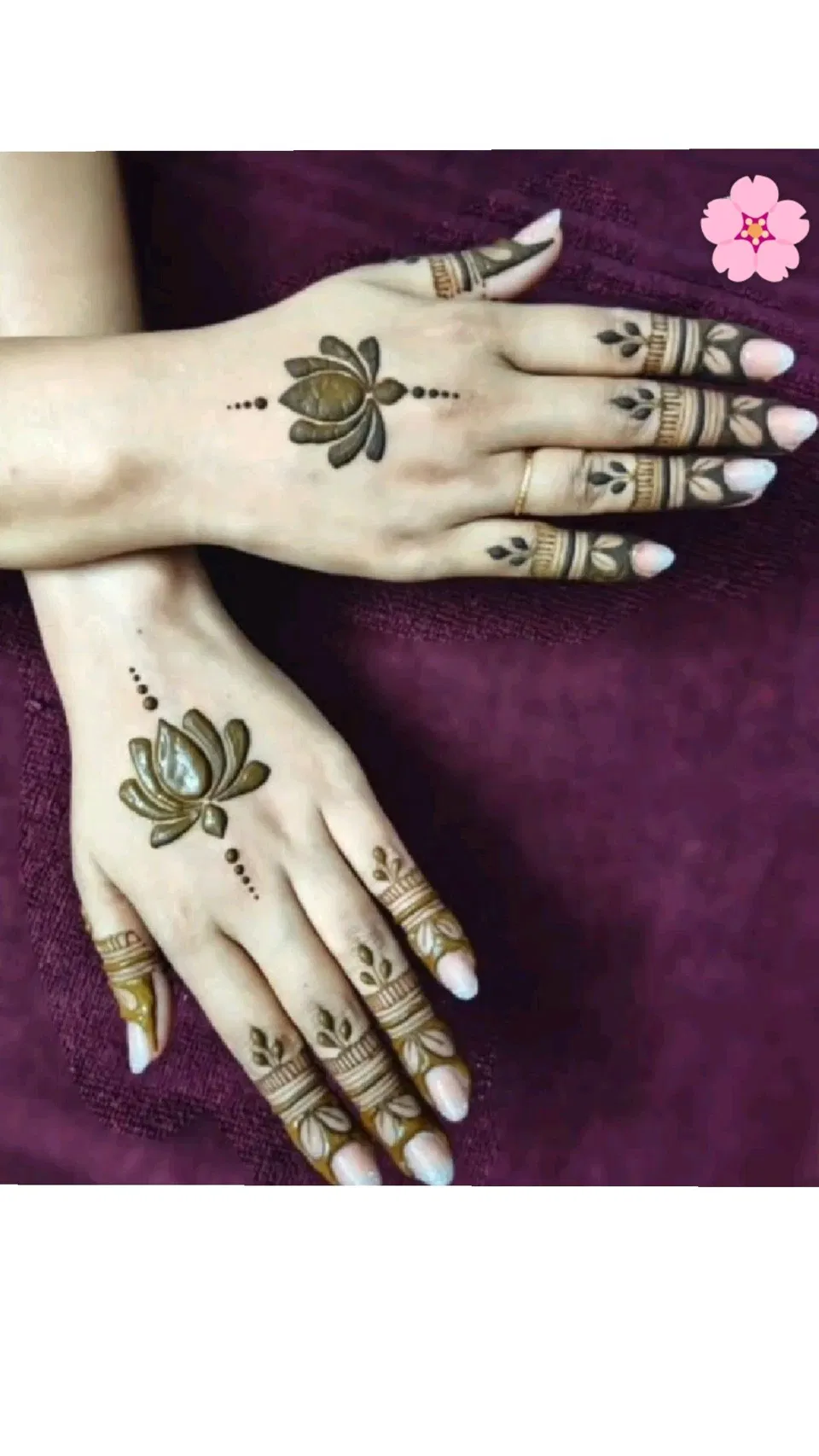 Aesthetic Simple Back Hand Mehndi Design with Gol Tikki, Flowers and Jaal (5)