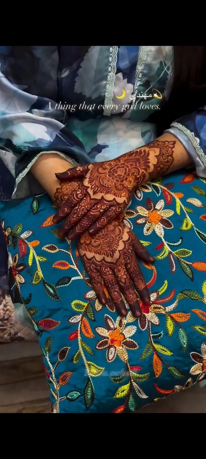 Aesthetic Dubai Back Hand Mehndi Design (2)