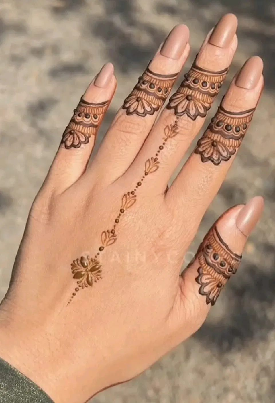 Dubai Royal Back Hand Mehndi Design