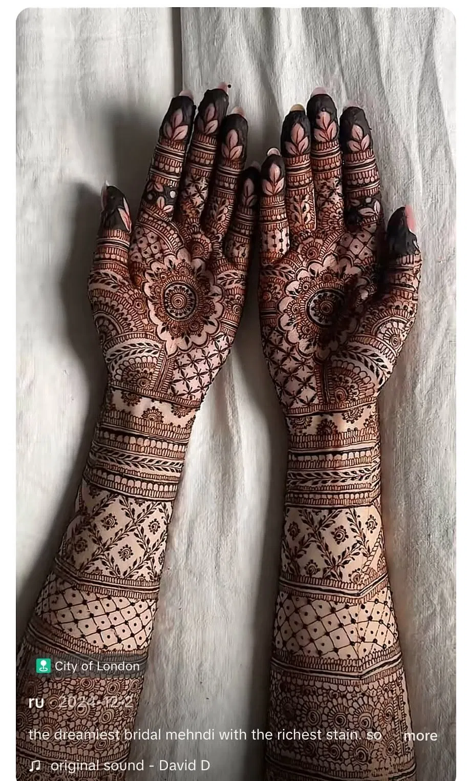 Aesthetic Bridal Front Hand Mehndi Design with Figures and Jaal (2)