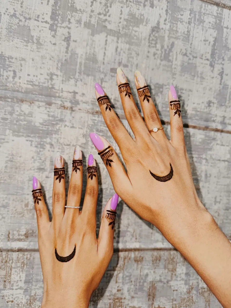 Aesthetic Minimal Back Hand Mehndi Design with Jaal and Moon (3)