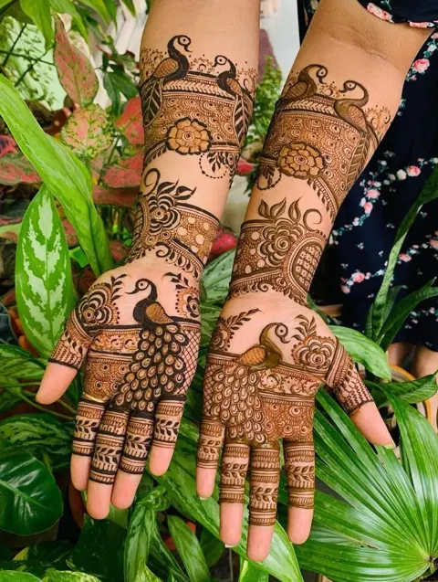 bridal indian peacock front hand mehndi design