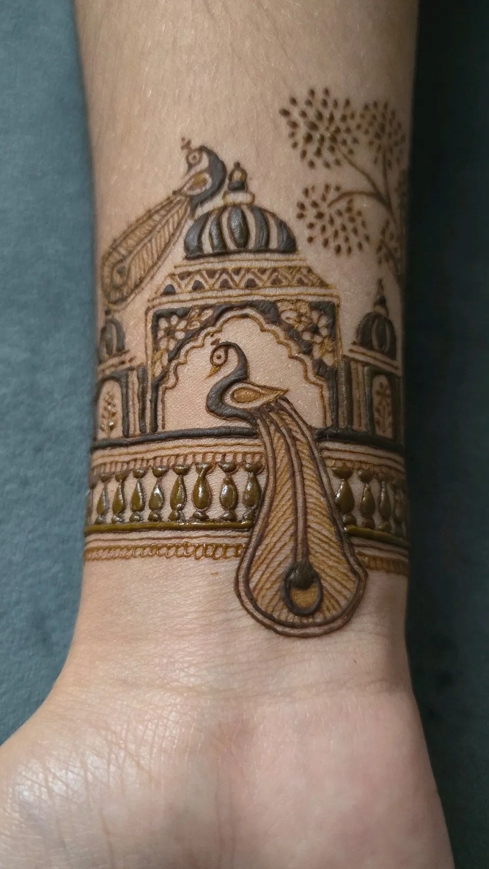 Indian Royal Back Hand Mehndi Design with Peacock (2)
