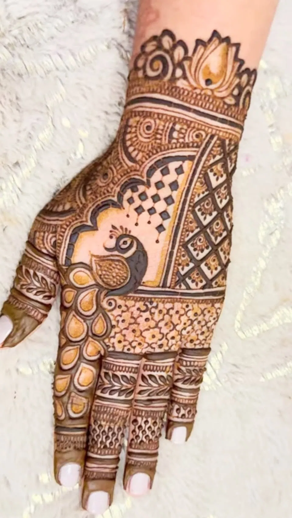 Bridal Royal Back Hand Mehndi Design with Figures and Peacock (2)