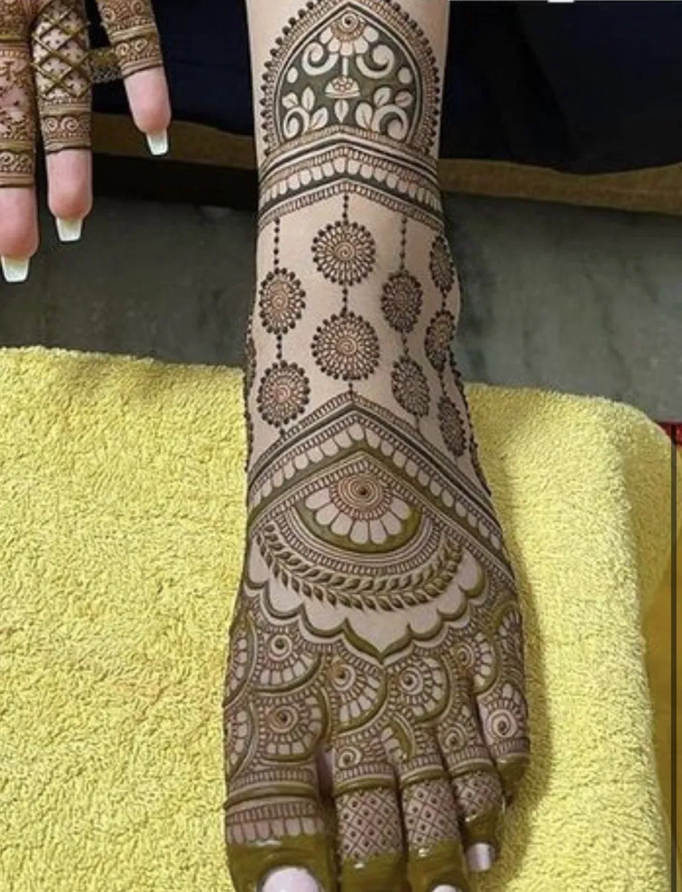 Bridal Pakistani Finger Mehndi Design with Figures