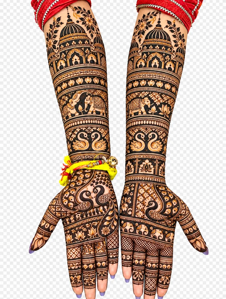 Bridal Full Hand Mehndi Design with Figures and Peacock (3)