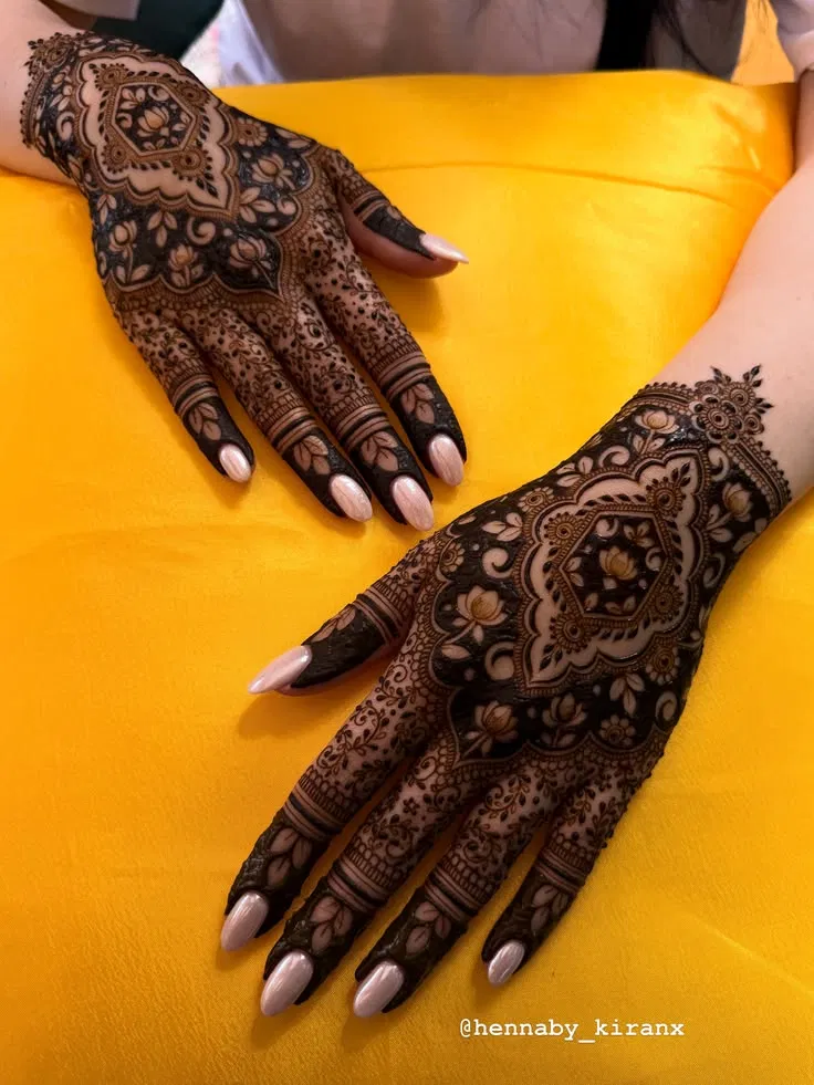 Bridal Indian Back Hand Mehndi Design with Jaal (4)