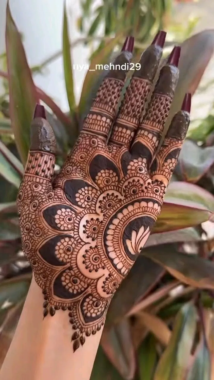 Aesthetic Arabic Back Hand Mehndi Design with Gol Tikki and Flowers for Engagement