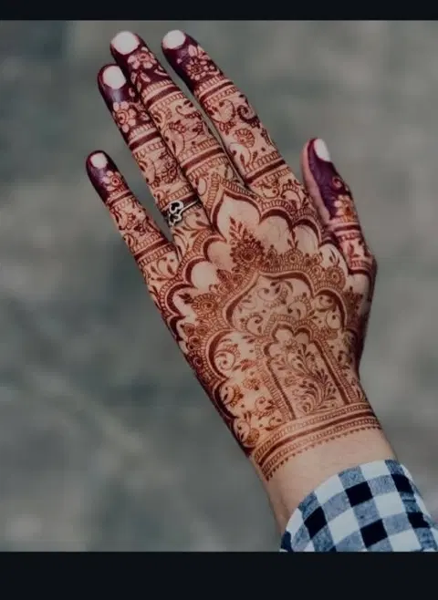aesthetic royal back hand mehndi design