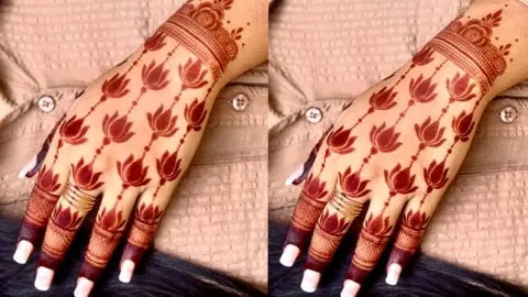 aesthetic royal jaal back hand mehndi design