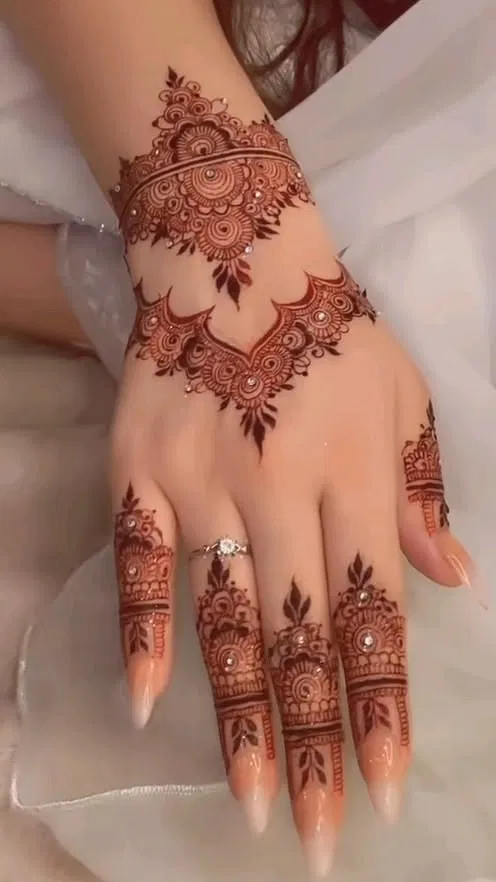 Arabic Bridal Back Hand Mehndi Design with Jaal (3)