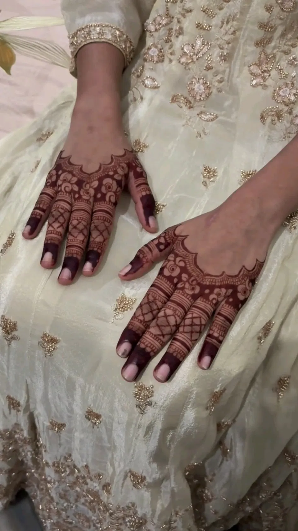Aesthetic Royal Back Hand Mehndi Design with Jaal (4)