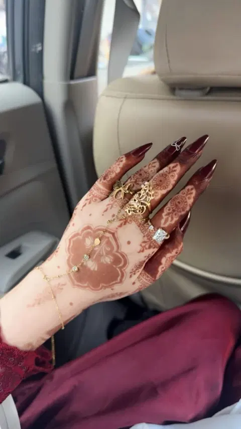 aesthetic royal back hand mehndi design