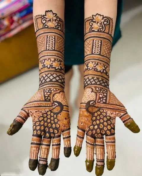 bridal indian figure front hand mehndi design