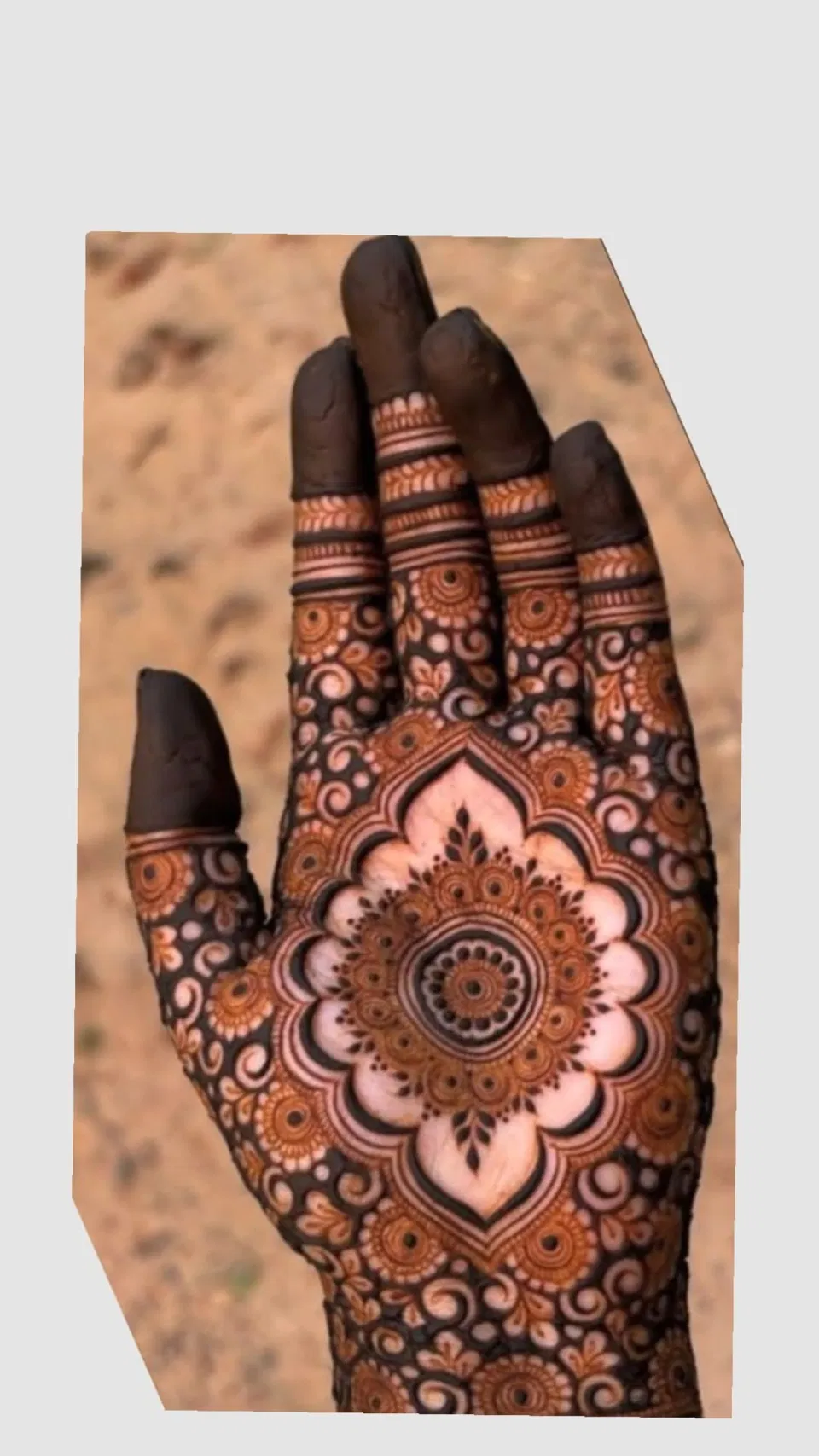 Aesthetic Royal Front Hand Mehndi Design