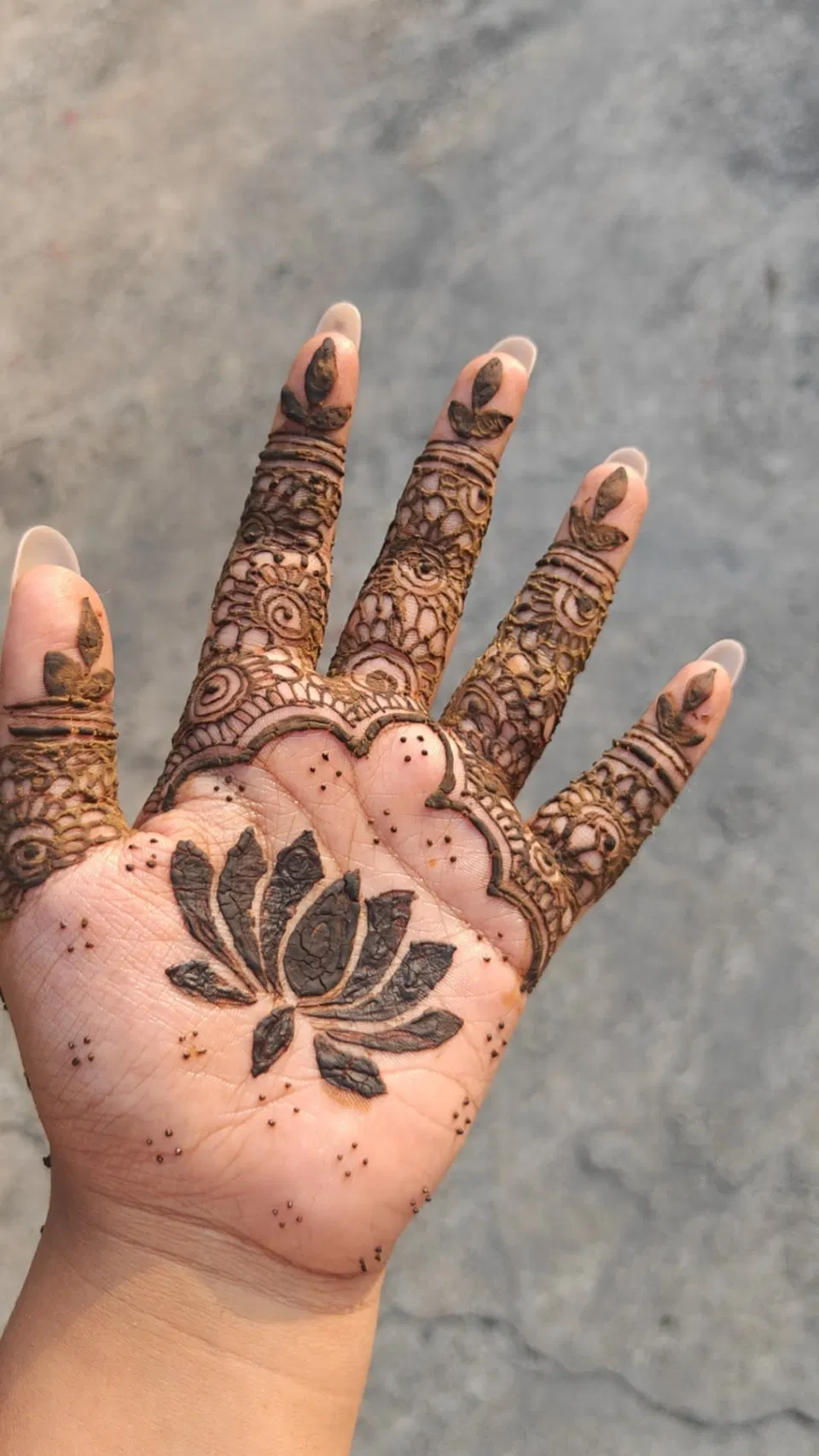 Aesthetic Simple Front Hand Mehndi Design with Lotus (3)
