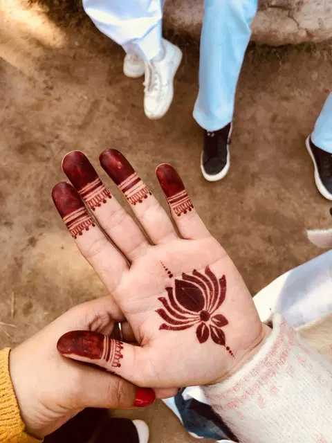 aesthetic royal jaal back hand mehndi design