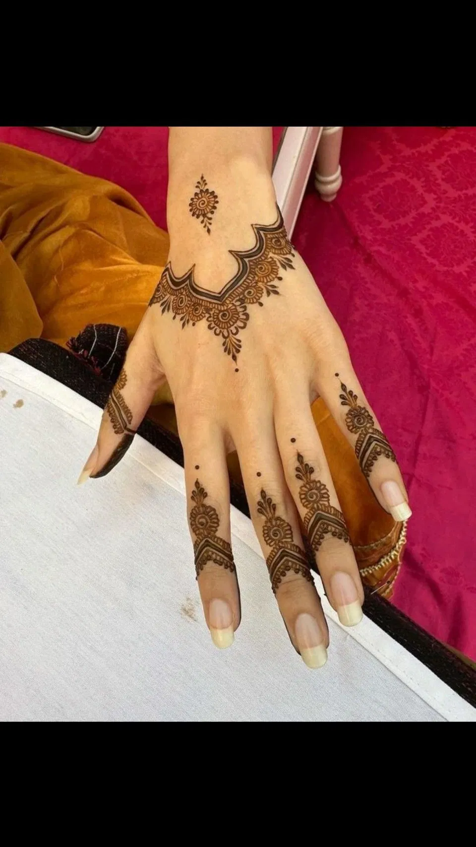 Aesthetic Minimal Back Hand Mehndi Design with Jaal (5)