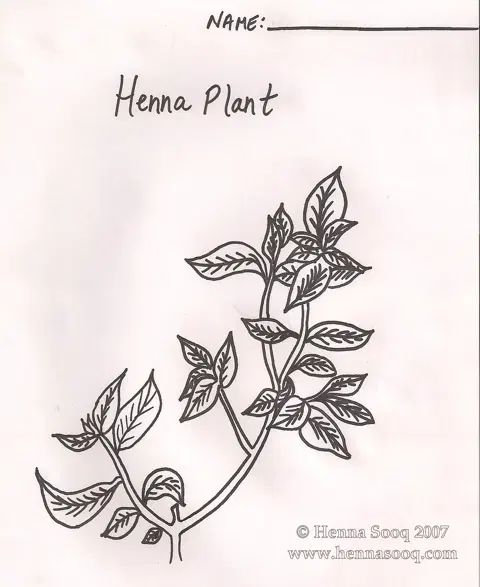 mehndi design