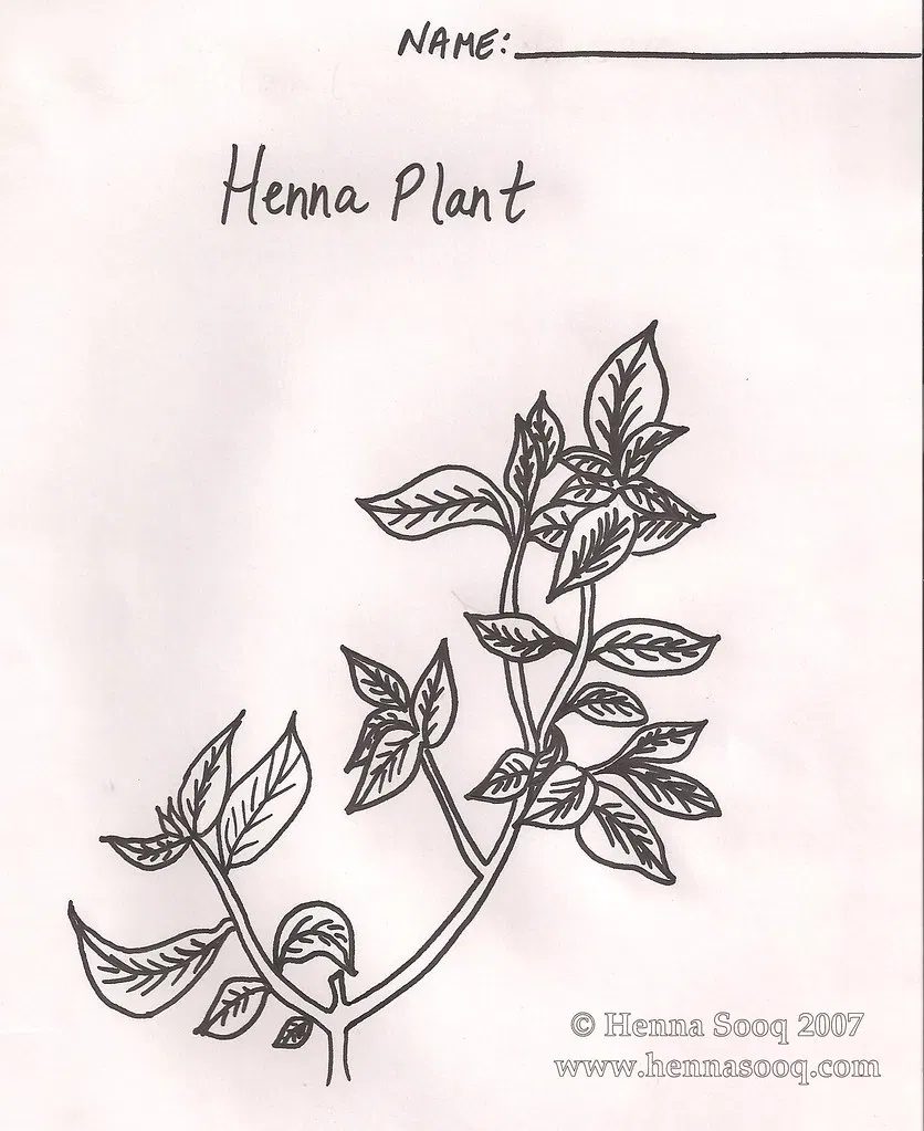 Mehndi Design