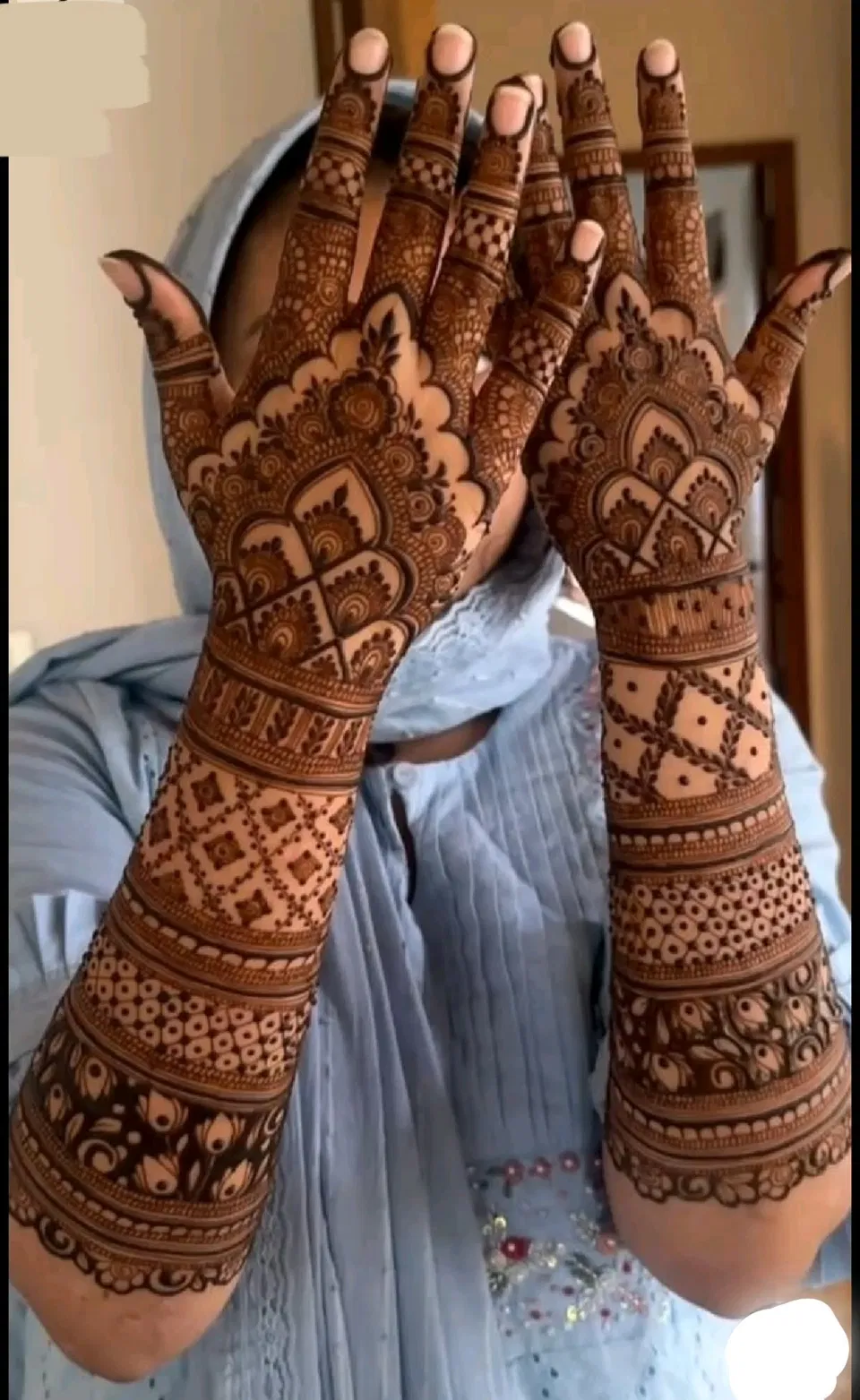Bridal Indian Back Hand Mehndi Design with Figures, Hearts and Jaal (2)