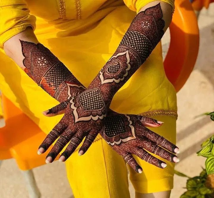Bridal Pakistani Back Hand Mehndi Design with Figures and Jaal (5)