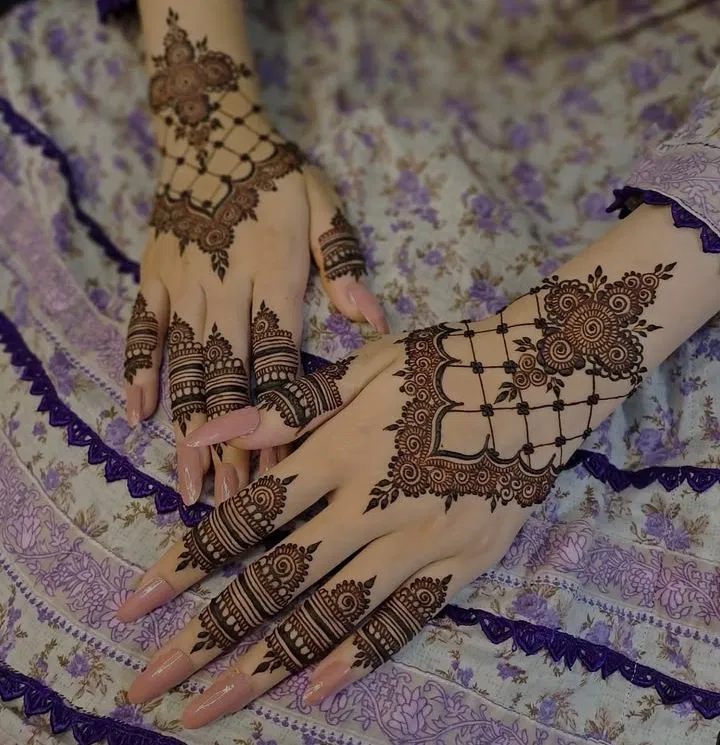 Bridal Indian Back Hand Mehndi Design with Jaal (7)