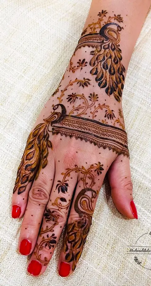 aesthetic indo-arabic jaal back hand mehndi design