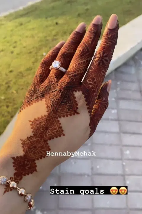 pakistani royal jaal back hand mehndi design