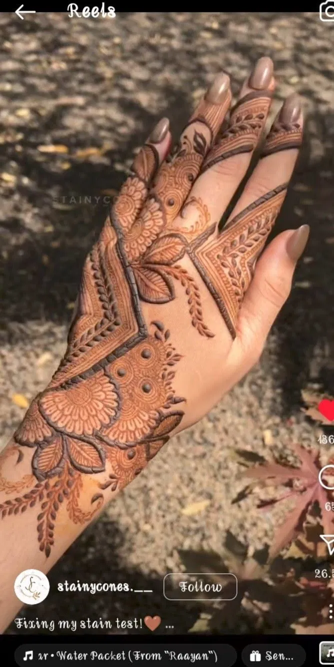 Aesthetic Indian Back Hand Mehndi Design with Lotus (3)