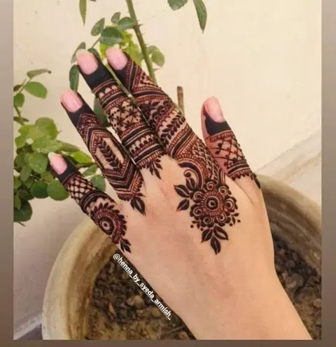 aesthetic royal back hand mehndi design