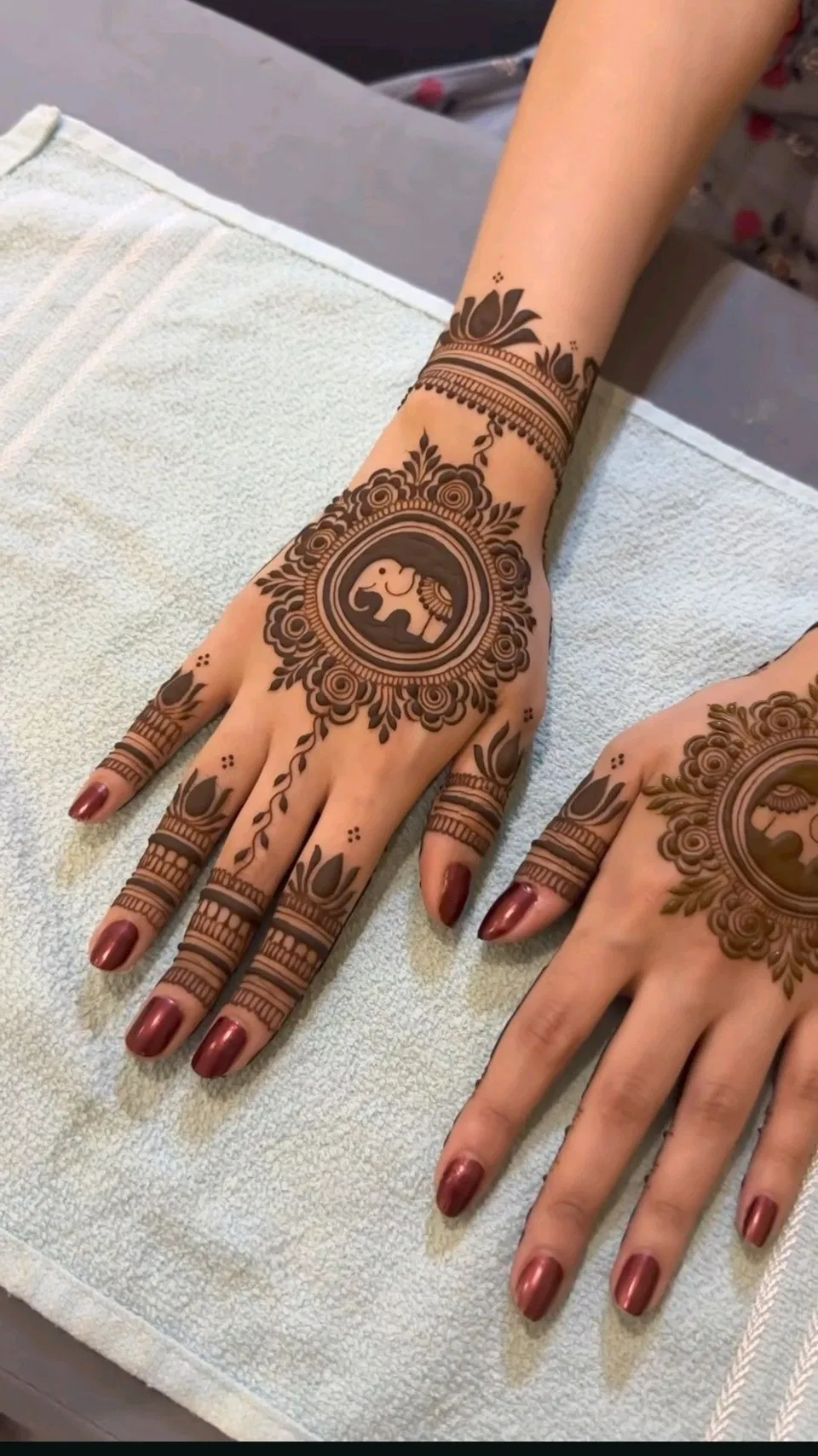 Aesthetic Royal Back Hand Mehndi Design with Bel, Gol Tikki and Jaal for Diwali (2)