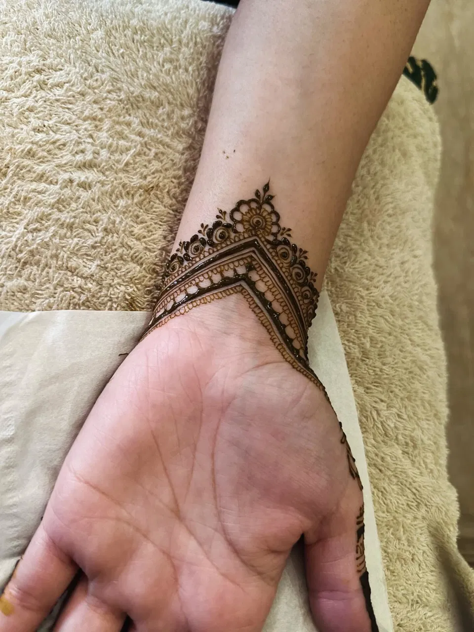 Aesthetic Simple Back Hand Mehndi Design with Flowers and Jaal (3)