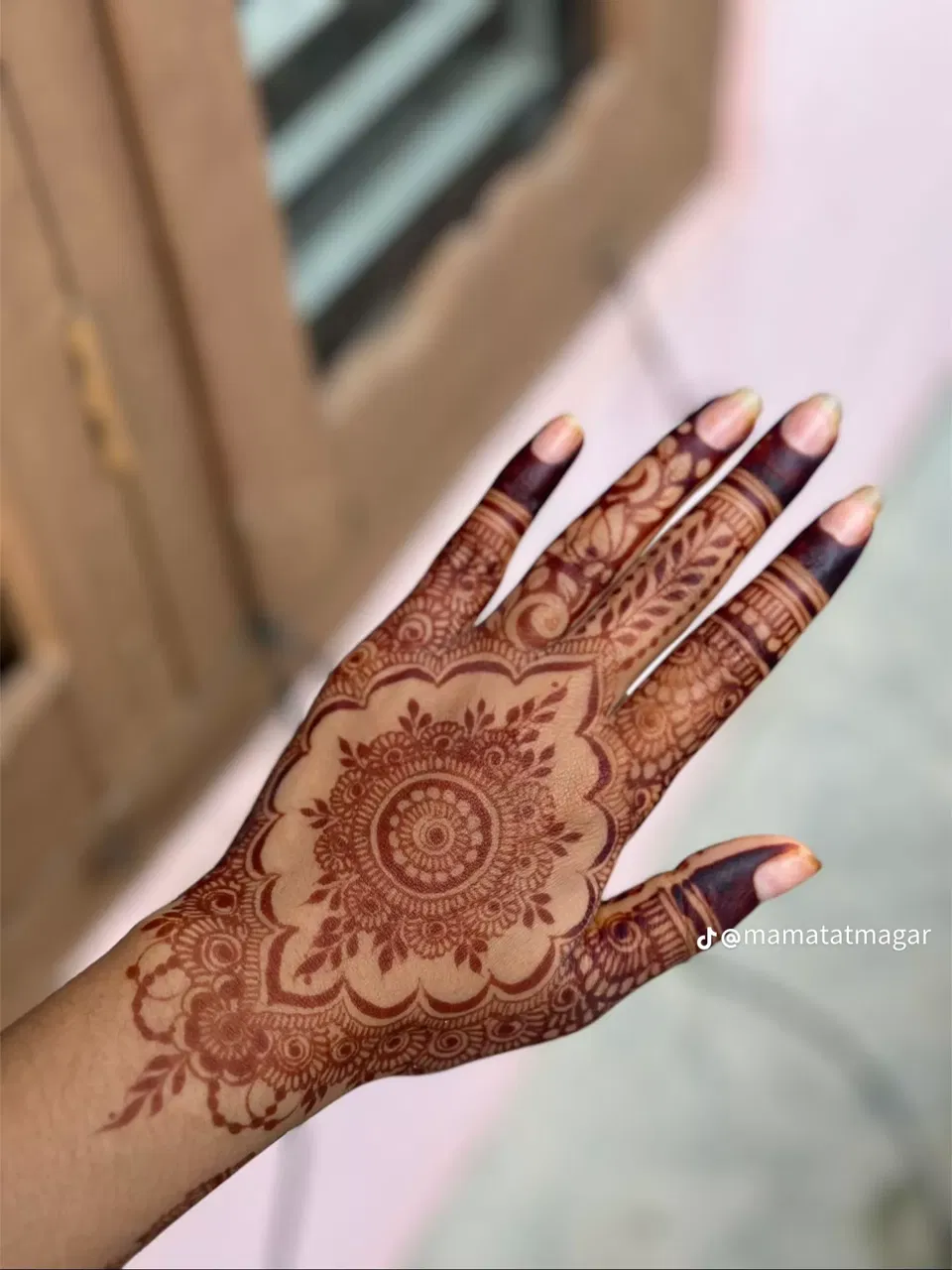 Aesthetic Royal Back Hand Mehndi Design with Gol Tikki (5)