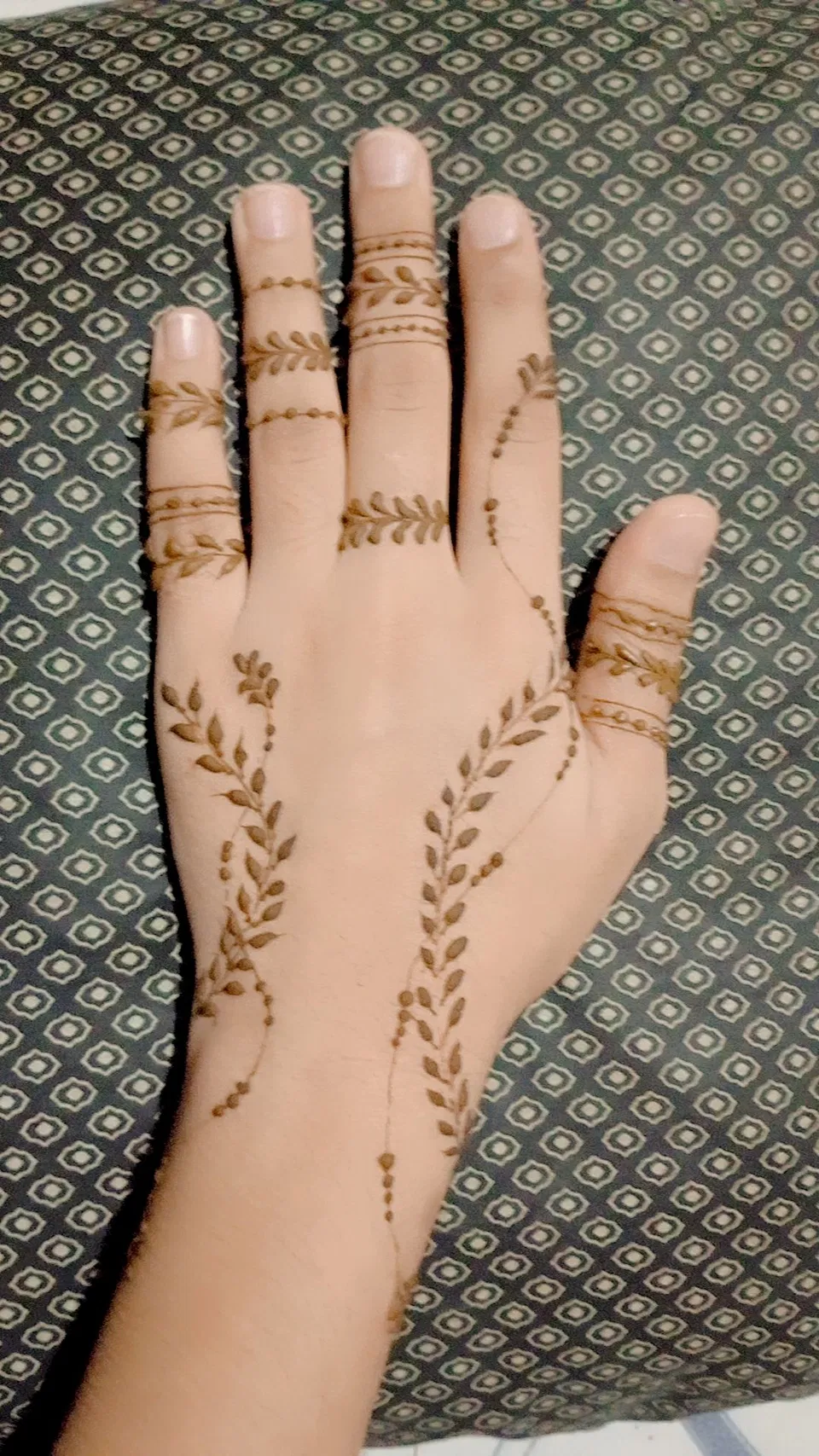 Arabic Minimal Back Hand Mehndi Design with Jaal (4)