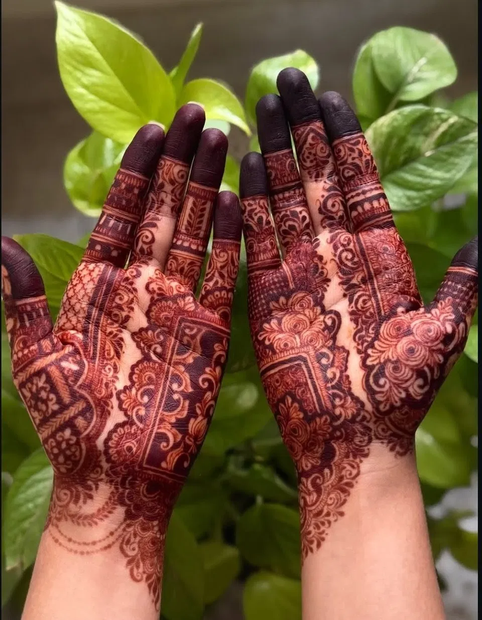 Aesthetic Bridal Front Hand Mehndi Design (8)